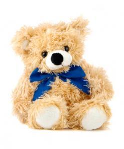Cool Charly Teddy Bears For Gift in Valentine